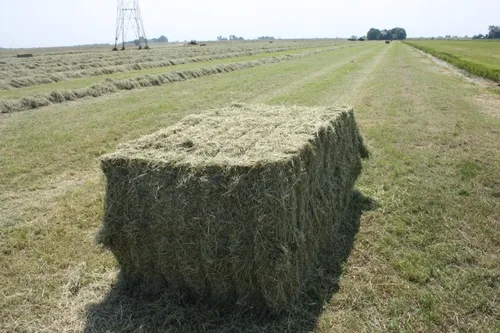 Hooipakken persen - VisscherHolland