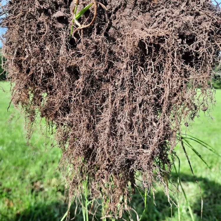 Productcategorie - Bodeminnovatie - VisscherHolland