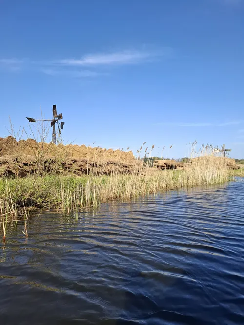 Rietbundels - VisscherHolland