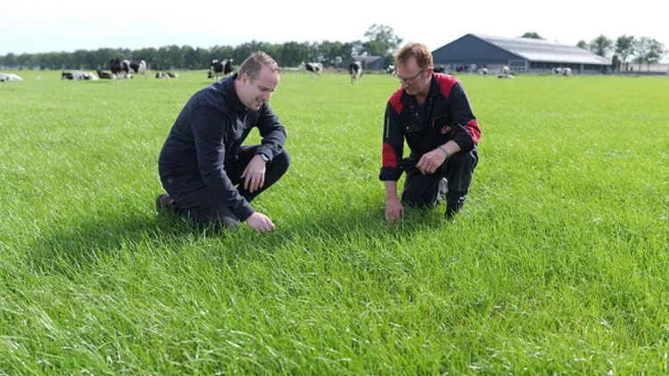 Grasonderzoek in weiland - VisscherHolland