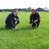 Koeien blijven ervoor buiten