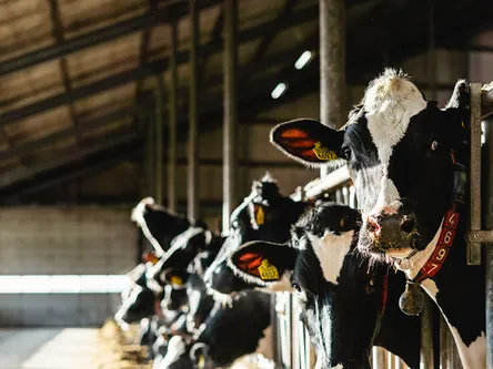 Sector - TheTransitionCompany - VisscherHolland