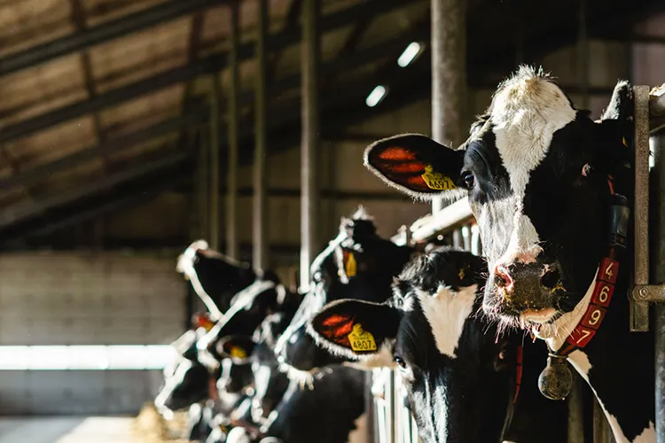 Sector - TheTransitionCompany - VisscherHolland