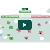 Video - Inkuilen en conservering gras en maiskuil